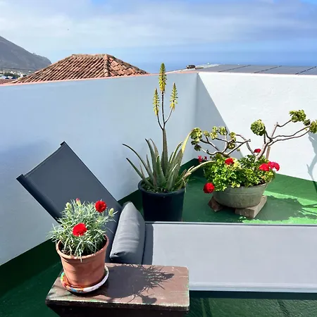 펜션 The Little Brezo Stone Tenerife